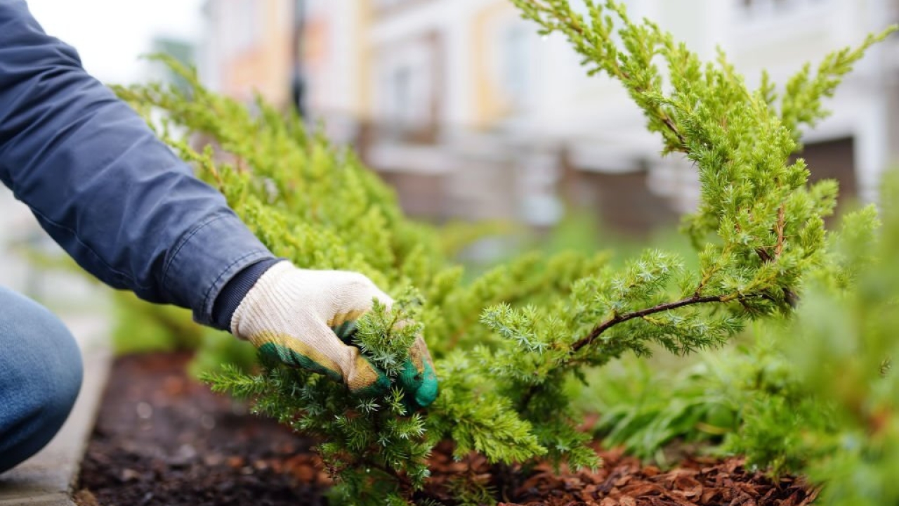 The Best Ways to Improve Landscaping in Burnaby