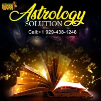 Famous Indian Astrologer in USA