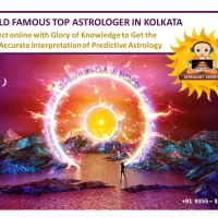 best career astrologer in india