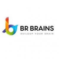 BR Brains