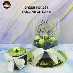 Best Designer Cakes in Gurgaon By Cake Plaza