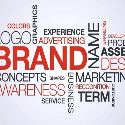 Types of Branding Services that can Benefit any Business