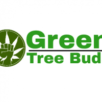 Green Tree Buds
