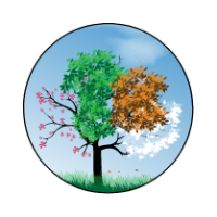 Live On Purpose Coaching Solutions