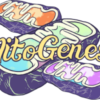 Mitogenesis Health