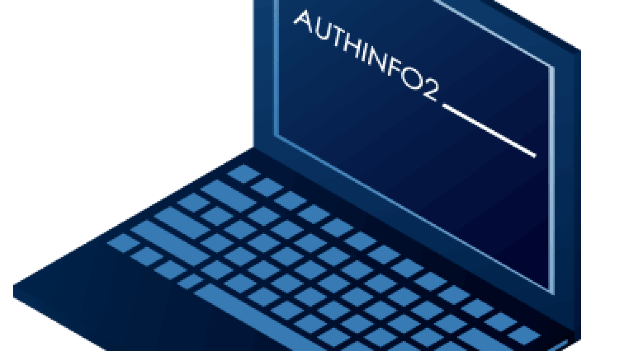 Die Rolle von Authinfo beim Schutz Ihrer digitalen Identität