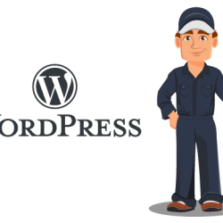Maximierung der Leistung: Wie Managed WordPress Hosting Ihre Website verbessern kann