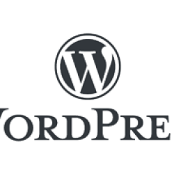SEO und mehr: Strategien zur Optimierung Ihrer WordPress-Website