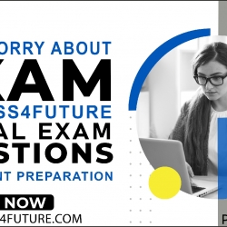 Use Pass4Future ServiceNow CIS-EM practice Questions before attempting the actual exam 