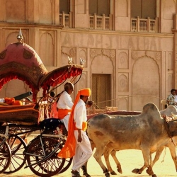 Explore el turismo de Rajasthan con la tierra de los festivales