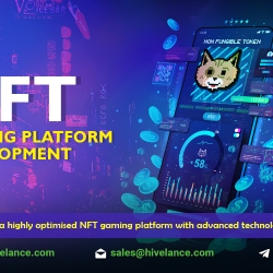 NFT Gaming Platform Development Company