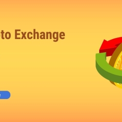 How To develop Your P2P Crypto Exchange Software Service?