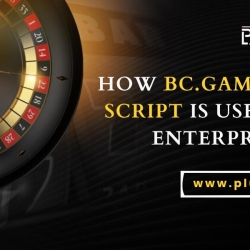 How BC.Game Clone Script Is Useful For Enterpreneurs?