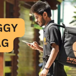 How Swiggy Bag Ensures Freshness and Quality in Every Delivery